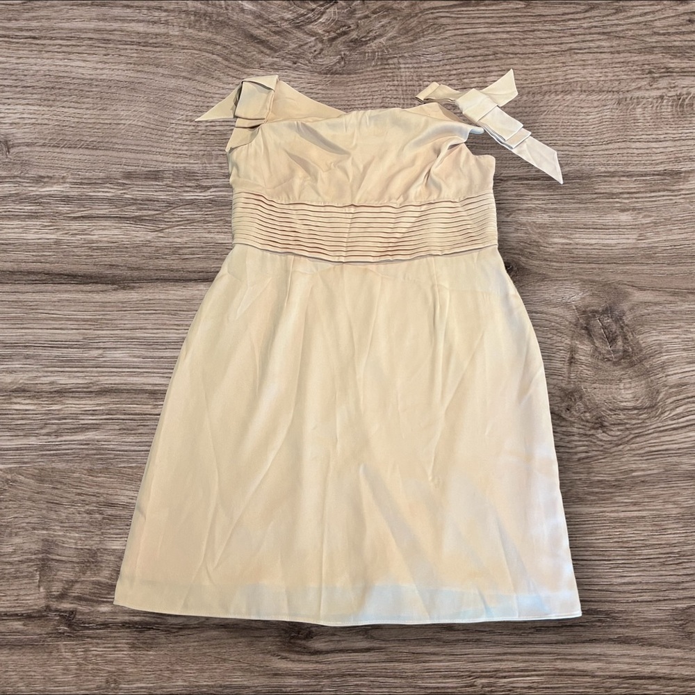 Antonio Melani Cocktail Dress Size 10 Pagent Nude